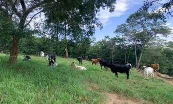Imagem 3: Chácara 10.000m² com cachoeira de aguas cristalinas nos fundos, Jaboticatubas