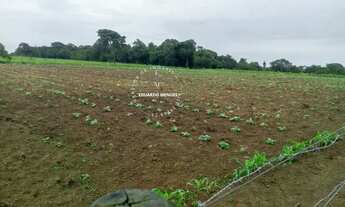 Imagem 6: Chácara com13.000 m², povoado do Trevo Zé Rosário, 14 km da Igrejinha