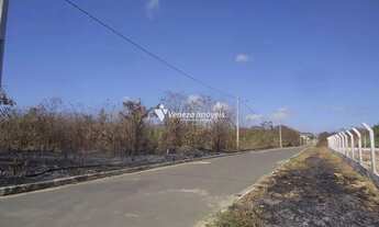 Imagem 3: Lote no bairro Cidade Industrial para aluguel