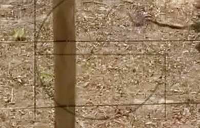 Imagem 5: Terreno à venda Amoraeville