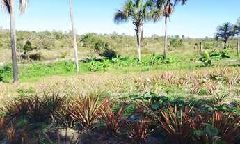 Imagem 3: Fazenda jaguar Fazenda / sítio com venda por R$2.700.000