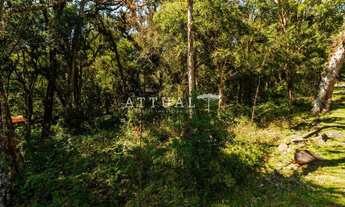 Imagem 2: TERRENO CONDOMÍNIO PINHEIRO GROSSO