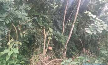 Imagem 6: TERRENO EM CONDOMÍNIO - CHÁCARAS COLINAS VERDES - SP