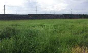 Imagem: Terreno Padrão em Ibaté