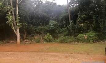 Imagem 4: TERRENO EM CONDOMÍNIO - CHÁCARAS COLINAS VERDES - SP