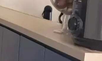 Imagem 4: Apartamento à venda no Condomínio Helbor Praças Ipoema, em César de Souza, Mogi das Cruzes