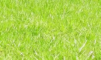 Imagem 5: Terreno Village Paraybuna 1032 m2