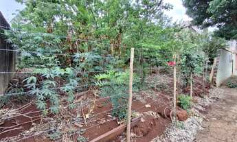 Imagem 5: Terreno padrão para venda no Bairro City, em Ribeirão Preto/SP