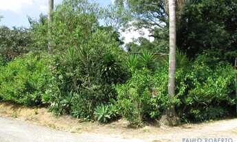 Imagem 6: AREA - LARANJA AZEDA - SP