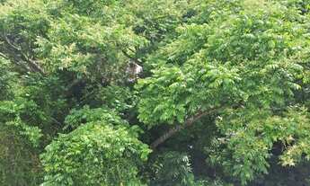 Imagem 4: Aluga-se quarto para profissional ou estudante!!!