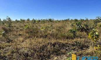 Imagem 6: Excelente fazenda dupla aptidão com 576,20 hectares à venda em Brasilândia de Minas - MG