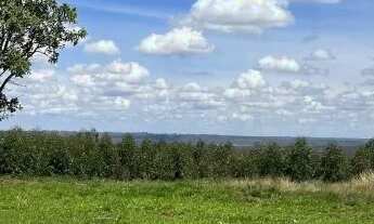 Imagem 2: LOTE 290 m2 BÁLSAMO SMLN BEIRA DA PISTA