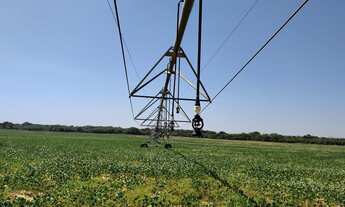 Imagem: Fazenda à venda de 497,00 Ha para Agricultura