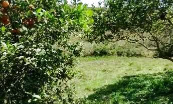 Imagem 4: Vendo chácara com casa, pomar e energia ? lugar tranquilo pra descansar!