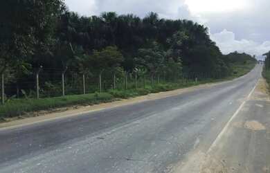 Imagem 3: Terreno no Km 25 da AM010, 250.000m2. Documentado. Próximo a 3M. Ótimo relevo