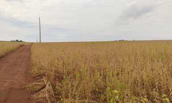 Imagem 6: Fazendas em todo Brasil ?