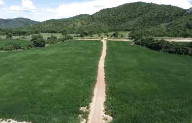 Imagem 7: Fazenda à venda em Vila Propício/GO com 1.452 Hectares