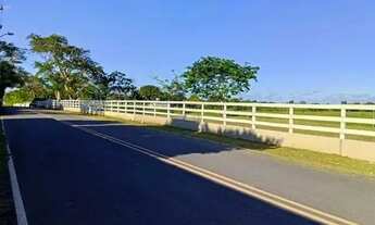 Imagem: ÁREA 34.272 M². ESTRADA DO BREJO GRANDE