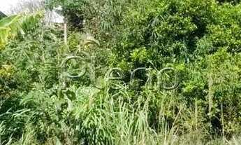 Imagem 4: Terreno à venda em Campinas, Chácara Primavera, com 1000 m²
