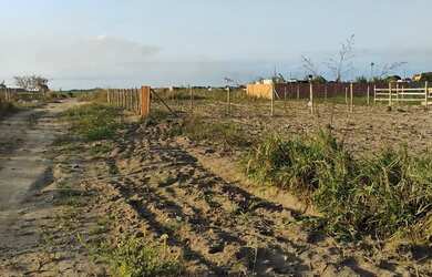 Imagem 4: Vendo 2 terrenos na zona rural de Campos dos Goytacazes a 100 metros do asfalto