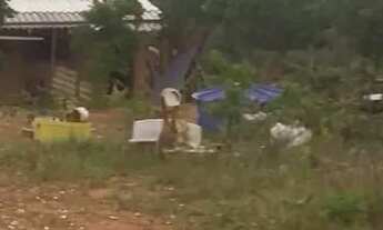 Imagem 3: Oportunidade Única: 4 Alqueires Mineiros às Margens da BR-365, com rio perene