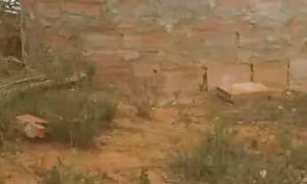 Imagem 2: Oportunidade Única: 4 Alqueires Mineiros às Margens da BR-365, com rio perene