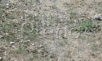 Imagem 7: Terreno à venda em Paulínia, João Aranha, com 300 m², Residencial Aurora