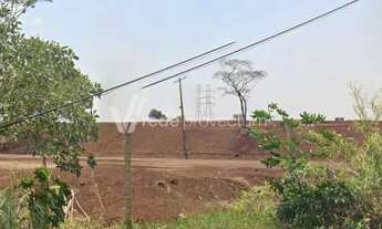 Imagem 2: Galpão - Betel - Paulínia