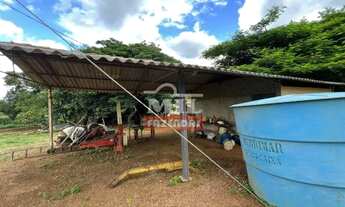 Imagem 7: Chácara 5,5 alqueires (26,62 hectares ) Bela vista - GO