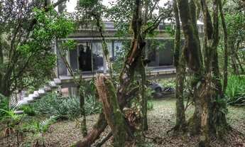 Imagem 3: Casa altamente sustentável em meio a Mata Atlântica