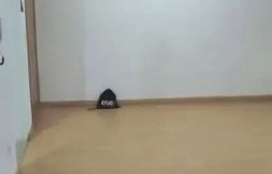 Imagem 4: Apartamento 2 quartos condomínio incluso