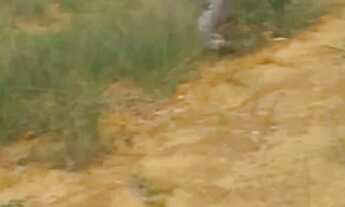 Imagem 4: Oportunidade Única: 4 Alqueires Mineiros às Margens da BR-365, com rio perene