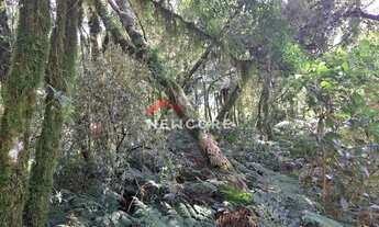 Imagem 5: Lote em Rua São Gotardo - São Bernardo - São Francisco de Paula/RS