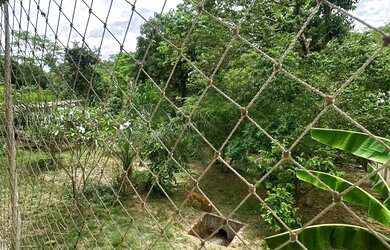 Imagem 6: Terreno / chácara no Jardins Mariliza