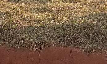 Imagem 6: Repasso lotes top demais ..