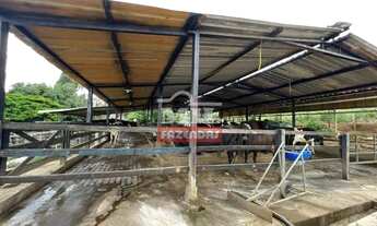 Imagem 3: Chácara 5,5 alqueires (26,62 hectares ) Bela vista - GO