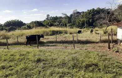 Imagem 7: Sitio em cajuru 3 alqueires 1.500.000.00 ( laer