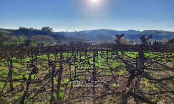 Imagem 6: Bento Gonçalves - Terreno Padrão - Vale dos Vinhedos