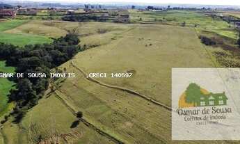 Imagem 4: Sítio de 12,7 Alqueires em Itapetininga