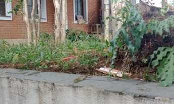 Imagem 3: SOBRADO - JARDIM - SP