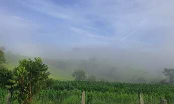 Imagem 5: Sítio a Venda em Bueno brandão