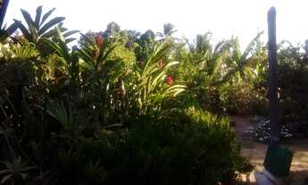 Imagem 3: TERRENO RESIDENCIAL em SUBAÚMA - BA, Entre Rios