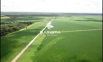 Imagem 3: Fazenda de Lavora 284 Alqueires, Caseara, 159 Km de Palmas