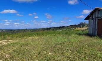 Imagem 6: Chacara na Lapa 2 alqueires