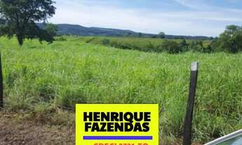 Imagem 5: Fazenda na região de Luzimangues dupla aptidão