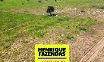 Imagem 7: Fazenda no Vale do Araguaia Dupla Aptidão