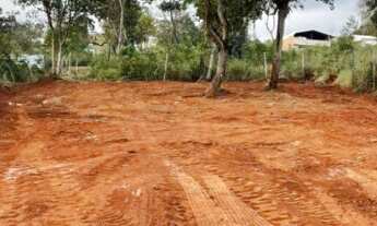 Imagem 3: Lotes em Mateus Leme