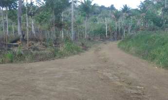Imagem 2: Oportunidade ! Lindo terreno em Itacaré - Bahia