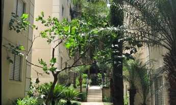 Imagem 3: Apartamento em Paraisópolis - São Paulo, SP