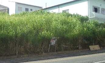 Imagem 2: Terreno - Jardim do Trevo - Campinas